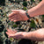 Save The Sea Turtles - One World - Stretch