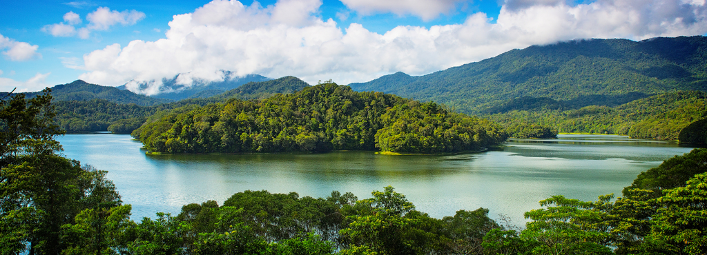 Travel with Meraki: Amazon River