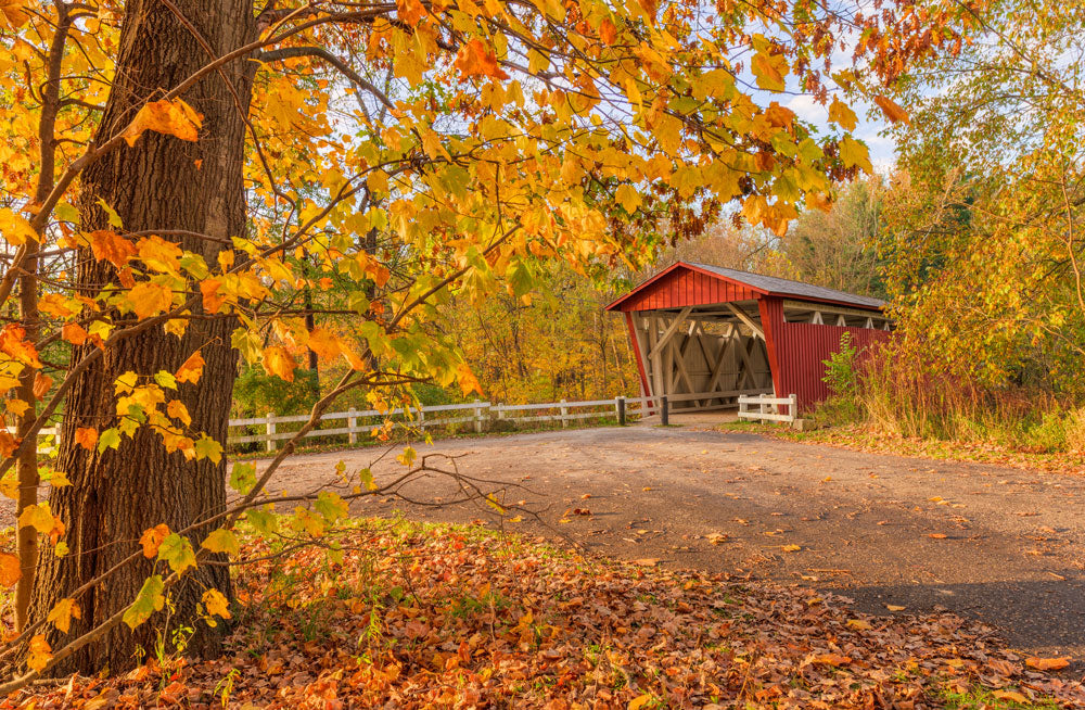 Off the Beaten Path: Best National Parks for Fall Foliage